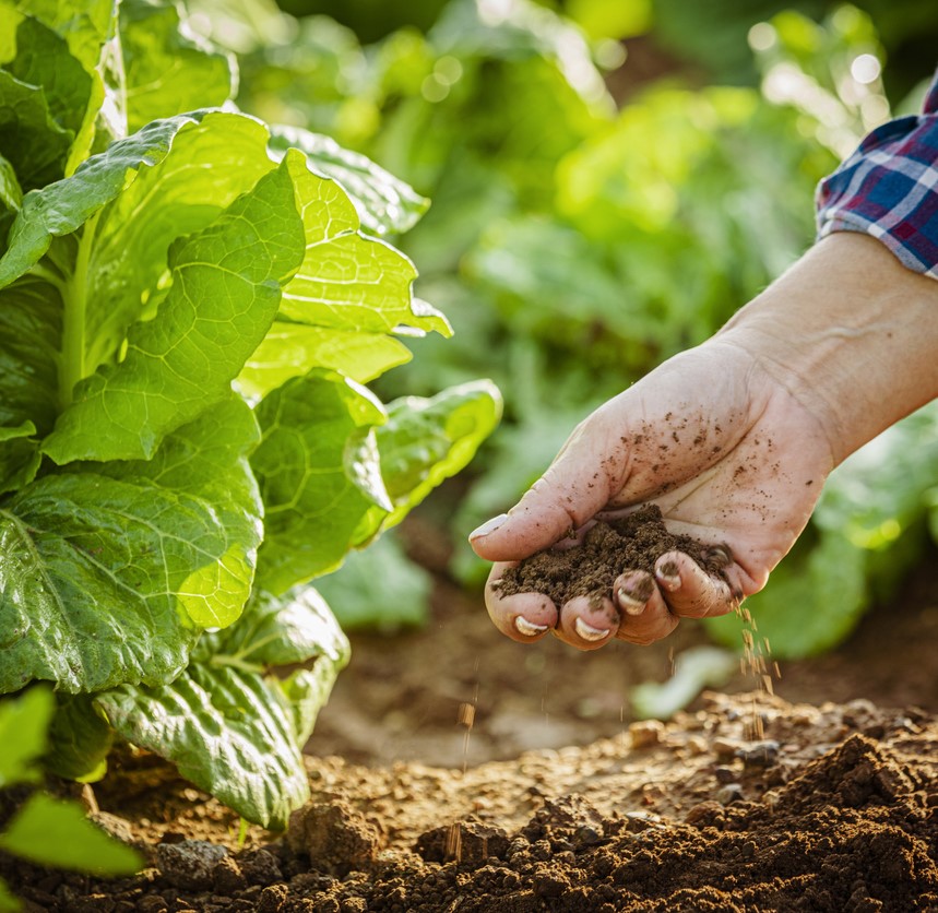 Pure Organic Bazar Products